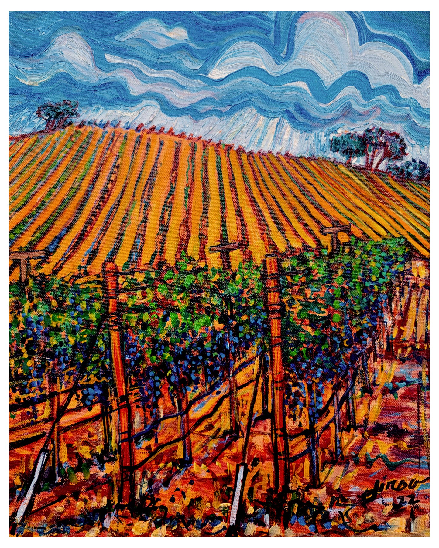 Sonoma Vineyard- Archival Print