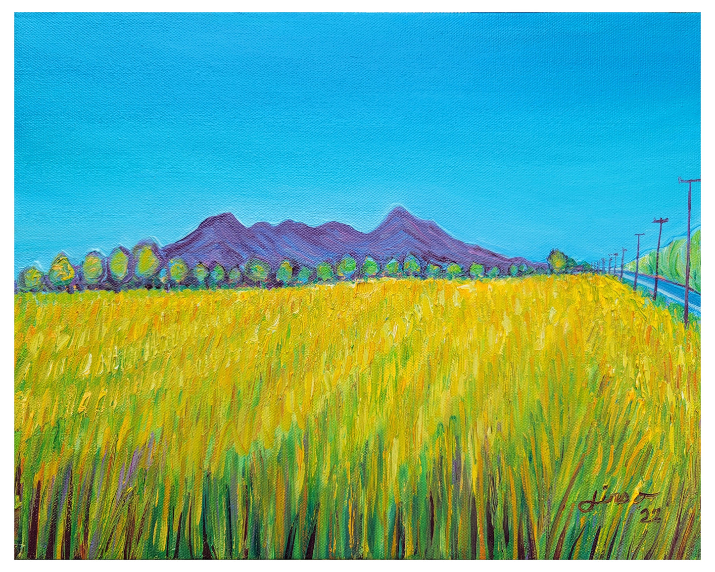 Golden Fields- Archival Print